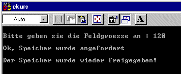 Screenshot des ausgefhrten Programms