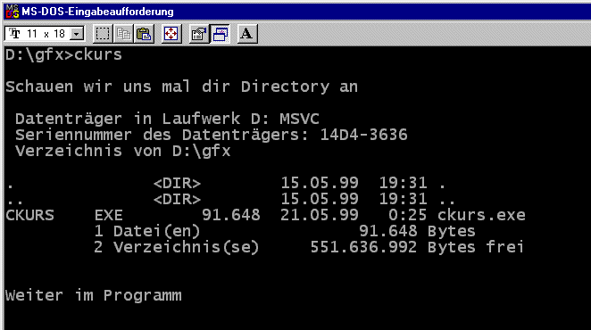 Screenshot des ausgefhrten Programms