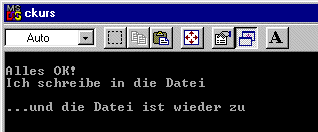 Screenshot des ausgefhrten Programms