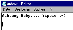 Screenshot des ausgefhrten Programms